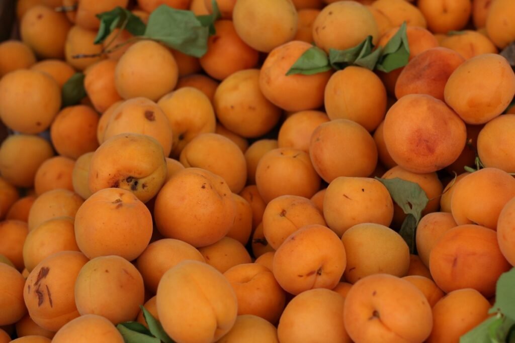 Fresh ripe apricots with green leaves