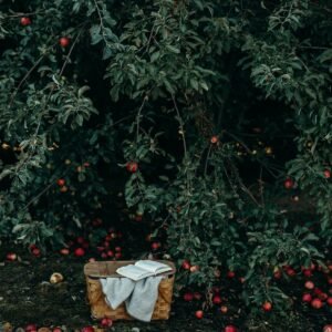 A basket of freshly picked fruit in an orchard